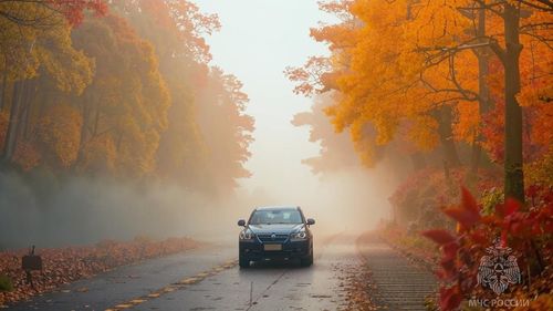 Фото ГУ МЧС России по Хакасии